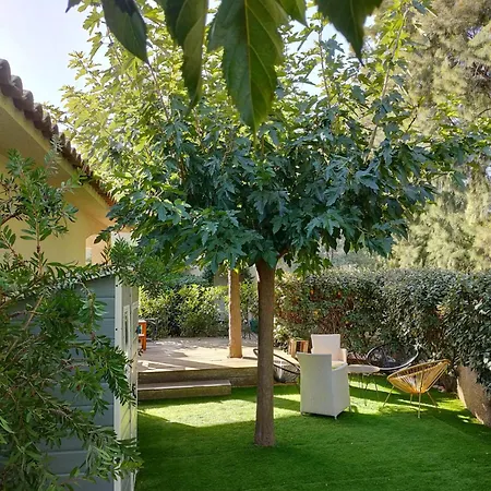Les Jardins D'alzetu Appartement Porto-Vecchio (Corsica)